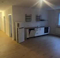 Frisch renovierte 3 Zimmerwohnung mit Wohnküche - Ingelheim am Rhein