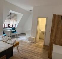 Großes 1-Zimmer Apartment mit einer Küche - Buckenhof