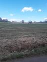 Foto - Bauerwartungsland - 17,00&nbsp;EUR Kaltmiete, ca.&nbsp; 0,00&nbsp;m&sup2;