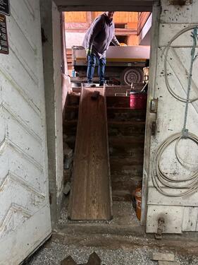 Foto - andere zur Miete in Freiburg im Breisgau