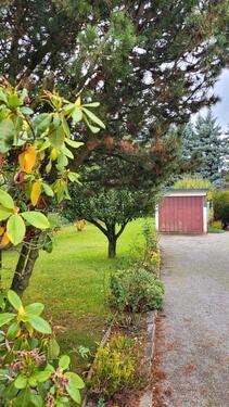 Foto - 5 Zimmer Einfamilienhaus in Bischofswerda