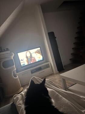 Foto - Etagenwohnung zur Miete in Kirchardt