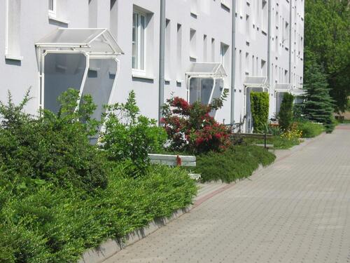 Foto - Etagenwohnung zur Miete in Wurzen