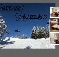 Ferienwohnung Feldberg im Schwarzwald direkt an Skipiste - Feldberg (Schwarzwald)