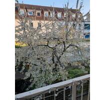 3 Zimmer-Maisonette mit Dachterrasse- 110m2- Rostock Stadtmitte