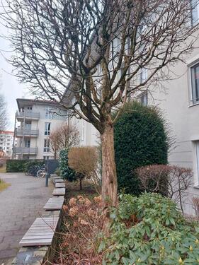 Foto - 3 Zimmer Etagenwohnung in München