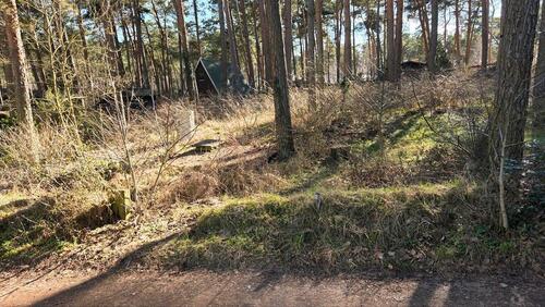 Foto - Pachtgrundstück in Gommern, Wald-, Naturgrundstück, Garten, 780qm