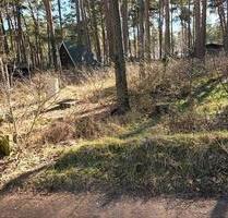 Pachtgrundstück in Gommern, Wald-, Naturgrundstück, Garten, 780qm