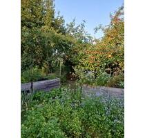 Gepflegter Kleingarten in Neuruppin mit Laube, Strom und Wasser