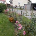 Foto - 6 Zimmer Einfamilienhaus in Gröditz