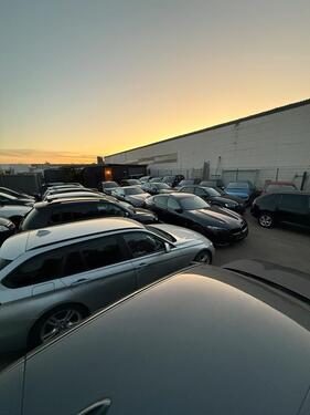 Foto - andere in Senden