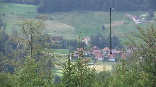 Foto - Einfamilienhaus in Baiersbronn zur Miete