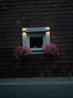Foto - Mehrfamilienhaus, Wohnhaus in Bad Lauterberg im Harz zum Kaufen