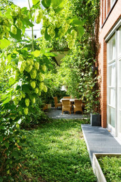 Foto - Loft - Studio - Atelier in Berlin zur Miete