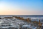 Foto - Ruhe und Entspannung im Winter an der Nordsee in Büsum