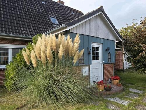 Foto - 6 Zimmer Einfamilienhaus zum Kaufen in Neukirchen