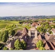 Wohnung für kurzfristige Vermietung Ferienwohnung - Klingenmünster