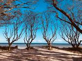 Foto - ❤️TOP Ferienwohnungen 2-4 P. Ostsee Strand Urlaub WLAN Insel Poel