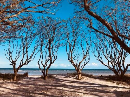 Foto - ❤️TOP Ferienwohnungen 2-4 P. Ostsee Strand Urlaub WLAN Insel Poel