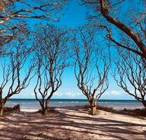 ❤️TOP Ferienwohnungen 2-4 P. Ostsee Strand Urlaub WLAN Insel Poel