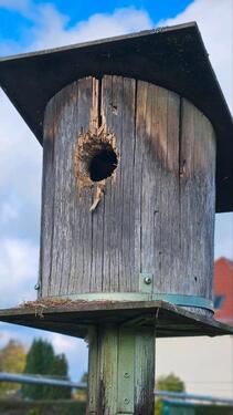 Foto - Grundstück in Spremberg