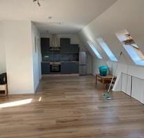 1 Zimmer Apartment ca 50m2 inkl Küche teilmöbliert zu vermieten - Petersaurach