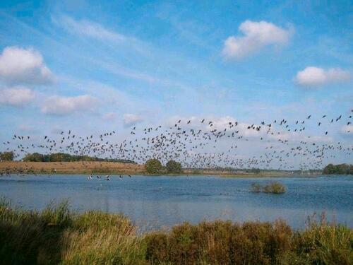 Foto - andere in Eldetal