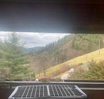 3 Z. 100qm Wohnung +90qm Dachboden - Münstertal/Schwarzwald