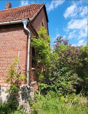 Foto - Bauernhaus, Landhaus in Pampow
