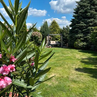 Foto - 4 Zimmer Doppelhaushälfte in Bitterfeld-Wolfen