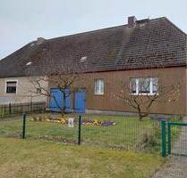 Doppelhaushälfte mit großem Baugrundstück - Waren (Müritz)
