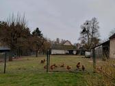 Foto - Doppelhaushälfte in Waren (Müritz) zum Kaufen
