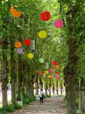 Foto - andere zur Miete in Bad Doberan