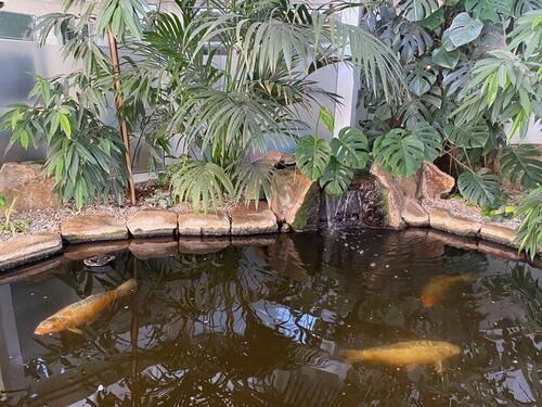 Foto - andere in Willingen (Upland)