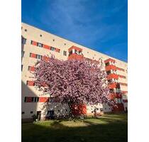 Möblierte Wohnung zur Zwischenmiete: April, Mai, Juni 2026 - Berlin Pankow