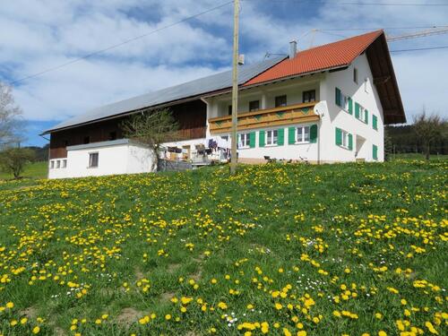 Foto - andere in Weitnau