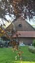 Foto - Einfamilienhaus in Verl zum Kaufen