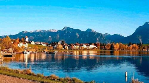 Foto - ❤️ Ferienwohnung Hopfen am See Füssen Allgäu Bayern Hund FEWO