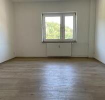 schicke, helle 3-Zimmerwohnung - 450,00&nbsp;EUR Kaltmiete, ca.&nbsp; 62,31&nbsp;m&sup2; in Plettenberg (PLZ: 58840)