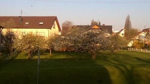 Foto - Baugrundstück 8,27a Voll erschlossen Plz 72355