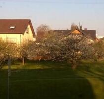 Baugrundstück 8,27a Voll erschlossen Plz 72355 - Schömberg