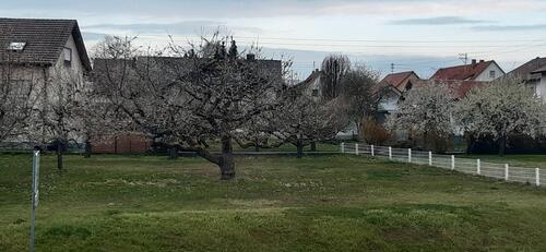 Foto - Grundst&uuml;ck zum Kaufen in Schömberg