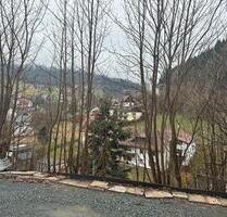 Barrierefreie 1-Zi. Mietwohnung in idyllischer Lage bei Bayreuth - Warmensteinach