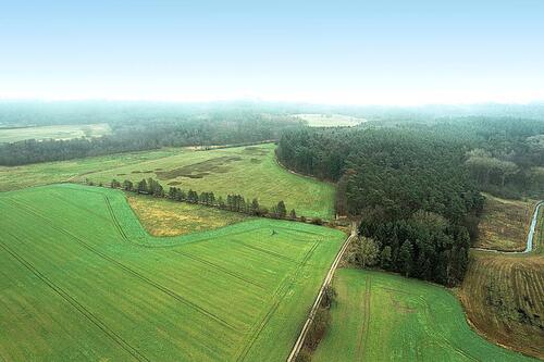 Foto - Grundst&uuml;ck zur Miete in Warin