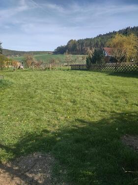 Foto - Gartenparzelle - 1.195,00&nbsp;EUR Kaltmiete, ca.&nbsp; 0,00&nbsp;m&sup2;