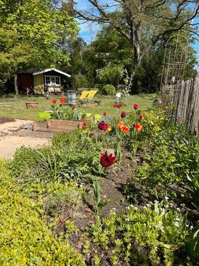 Foto - Etagenwohnung in Kirchgellersen zum Kaufen