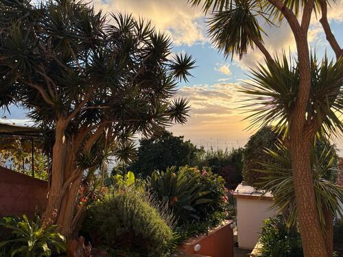 Foto - Traumhaus mit Meerblick in Toplage auf Madeira zu verkaufen