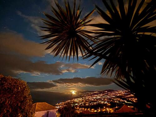 Foto - 3 Zimmer Einfamilienhaus zum Kaufen in Trier