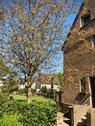 Foto - Einfamilienhaus zum Kaufen in Duisburg