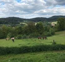 Pferdeparadies im Vorderen Bayerischen Wald - Konzell